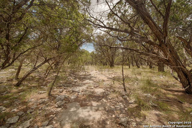 Listing photo id 4 for Tbd English Crossing