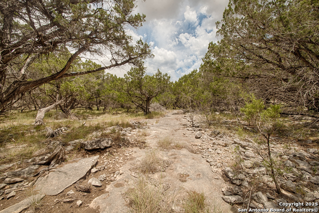 Listing photo id 5 for Tbd English Crossing