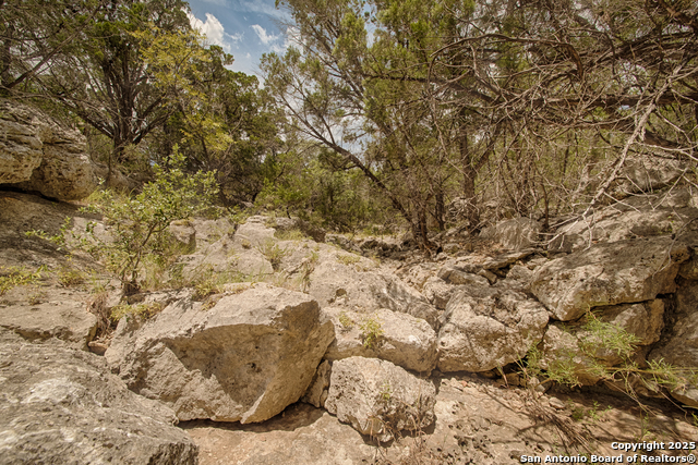 Listing photo id 7 for Tbd English Crossing