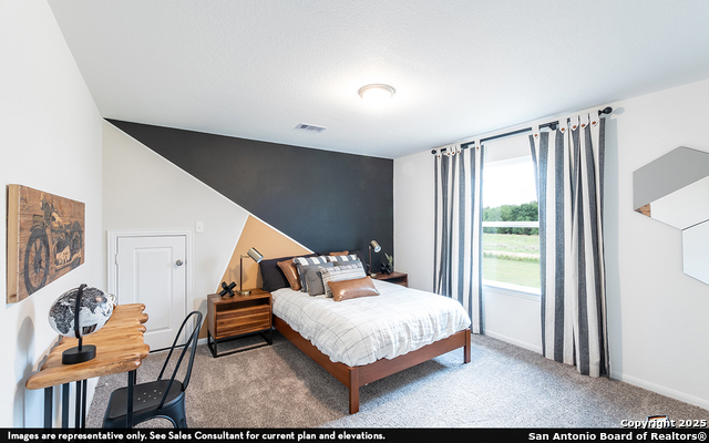 Listing photo id 11 for 6632 Cibolo Springs