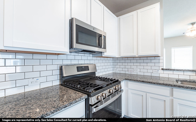 Listing photo id 3 for 6632 Cibolo Springs