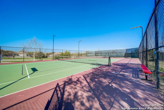 Image 57 of 57 For 1242 Yellow Warbler Run