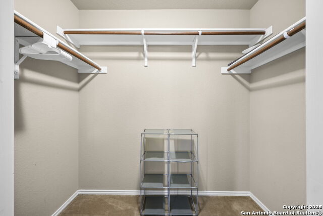 Image 12 of 47 For 243 Cardinal Song