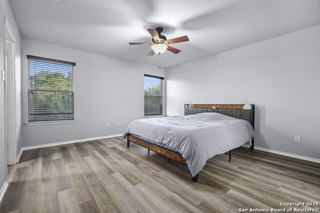 Image 16 of 47 For 243 Cardinal Song