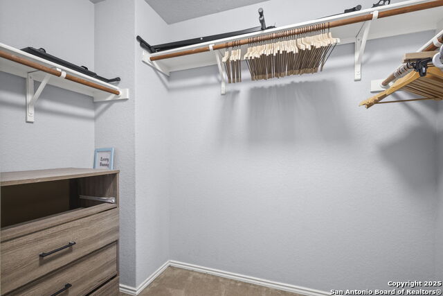 Image 27 of 47 For 243 Cardinal Song