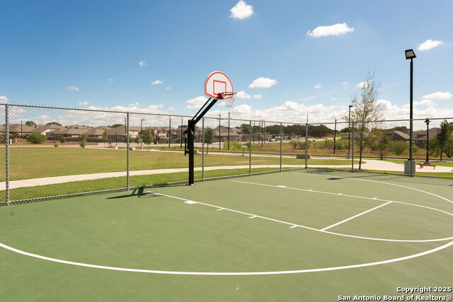 Image 41 of 47 For 243 Cardinal Song