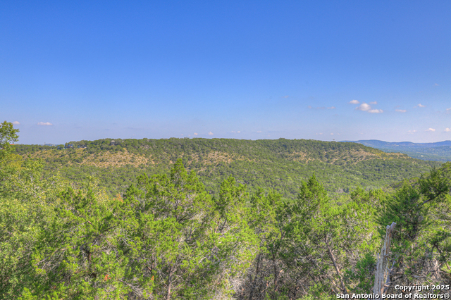 Image 44 of 54 For 2491 Skyline
