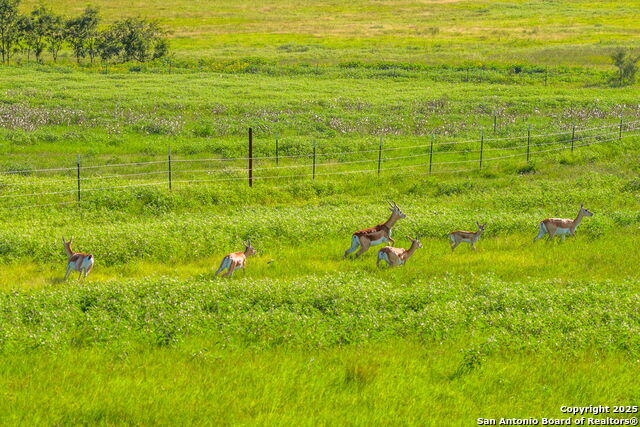 Image 2 of 10 For 449 Luke Hayes Way