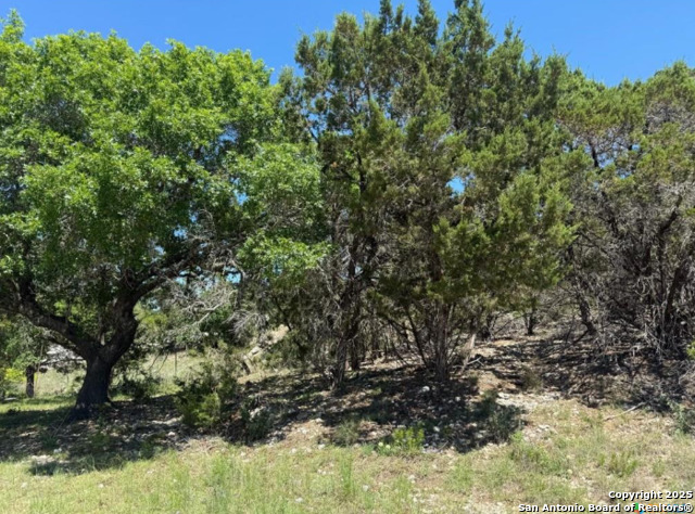 Listing Details for 1352 Stardust Drive, Canyon Lake, TX 78133