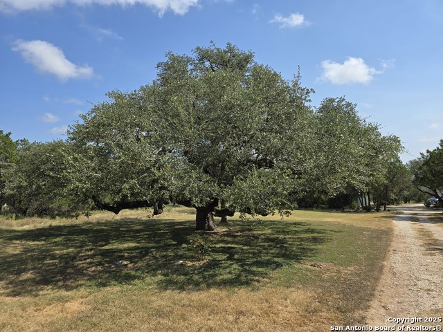 Listing photo id 34 for 639 Bluff Ridge Ct