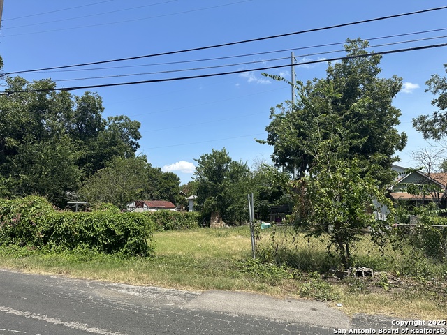 Image 3 of 7 For 119 Orphan  