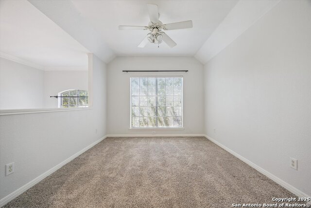 Listing photo id 18 for 2443 Cove Hill