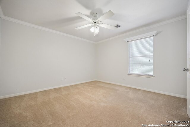 Listing photo id 20 for 2443 Cove Hill