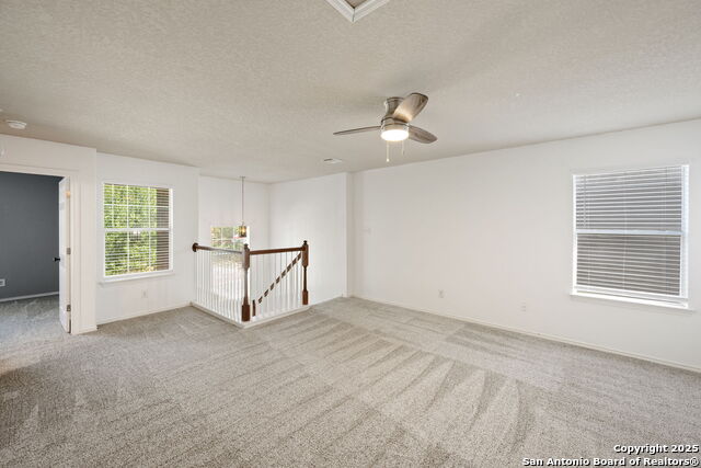 Image 12 of 22 For 11030 Chicory