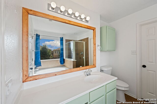 Image 14 of 22 For 11030 Chicory