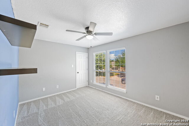 Image 16 of 22 For 11030 Chicory