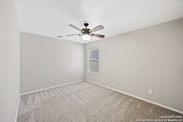 Image 18 of 22 For 11030 Chicory