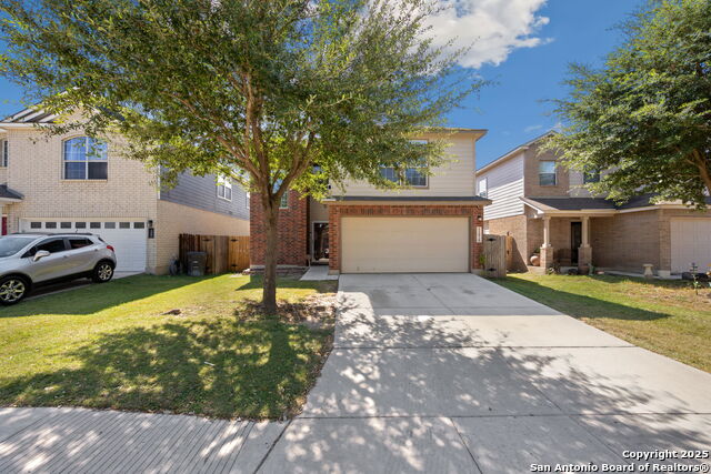 Image 2 of 22 For 11030 Chicory