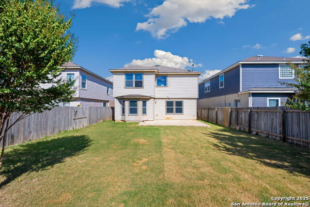 Image 20 of 22 For 11030 Chicory