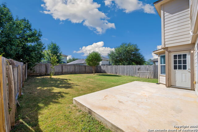 Image 21 of 22 For 11030 Chicory