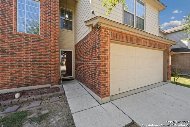 Image 4 of 22 For 11030 Chicory