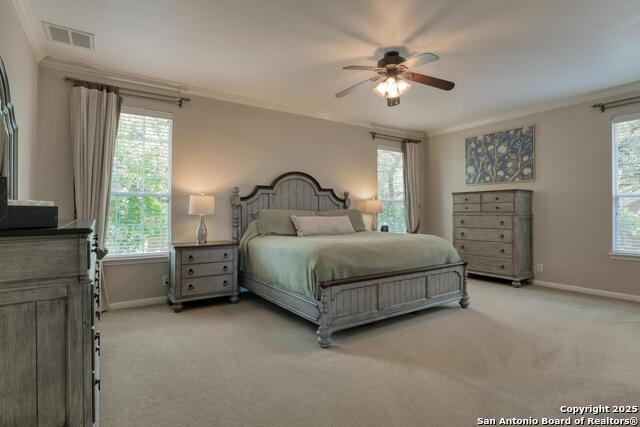 Image 21 of 36 For 22366 Chimayo