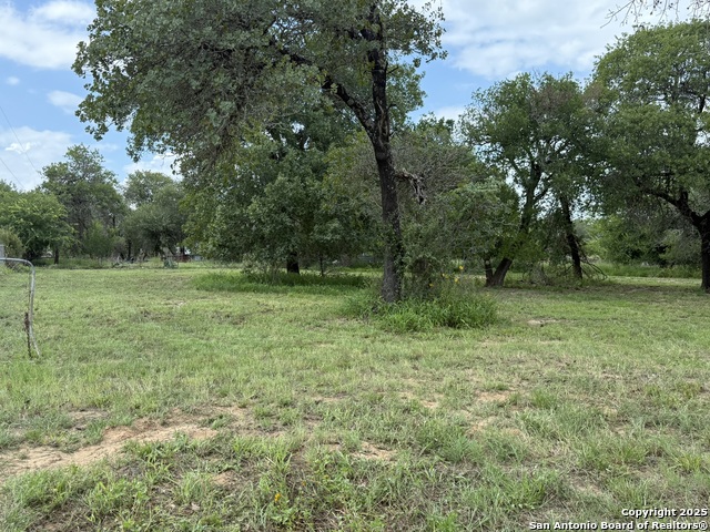 Image 5 of 10 For 1917 Palo Alto