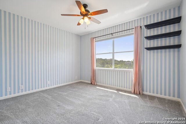 Image 30 of 74 For 3610 Pinnacle Dr