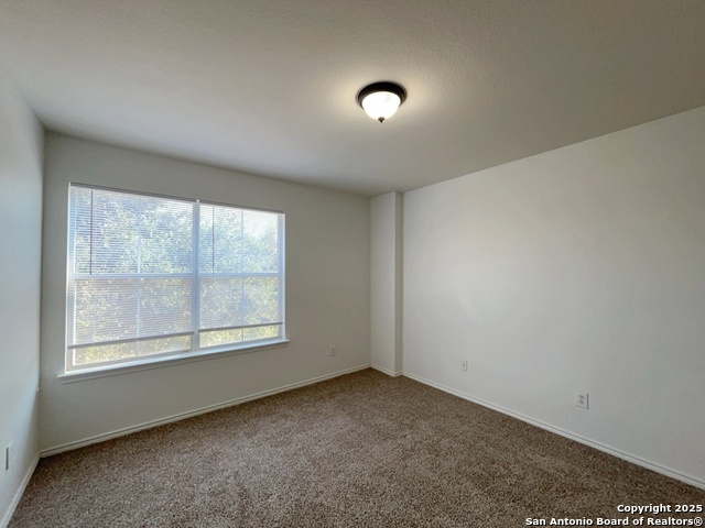 Listing photo id 29 for 6903 Cutting Creek