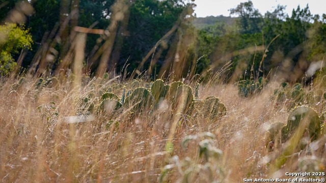 Image 24 of 41 For 510 Pr 2535  