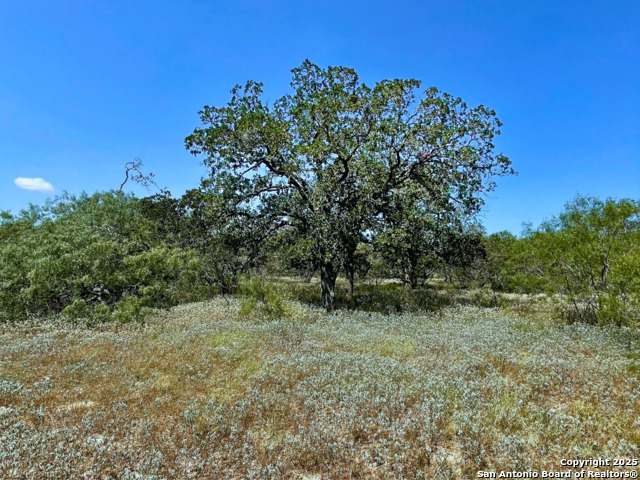Details for 33 Acres Cr 114, Nixon, TX 78140
