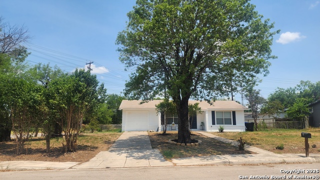 Image 3 of 28 For 111 Belfast  