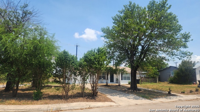 Image 6 of 28 For 111 Belfast  