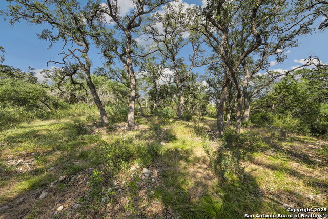 Image 3 of 20 For 1732 Herbelin
