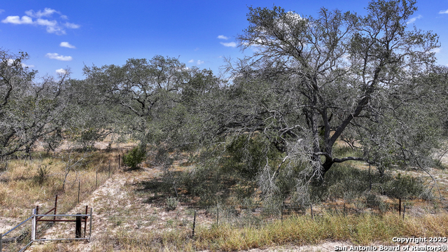 Image 40 of 48 For 461 Blossom Dr