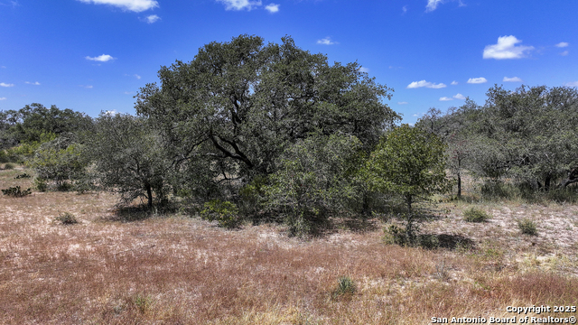 Image 43 of 48 For 461 Blossom Dr