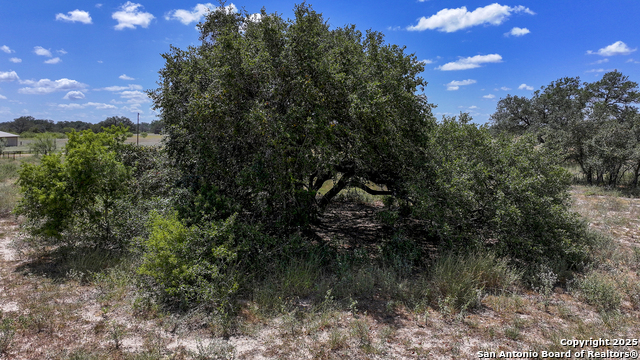 Image 44 of 48 For 461 Blossom Dr