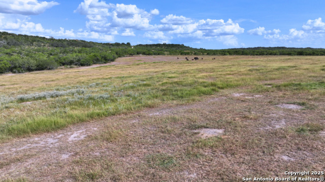 Listing photo id 22 for 32 Ac Fm 791