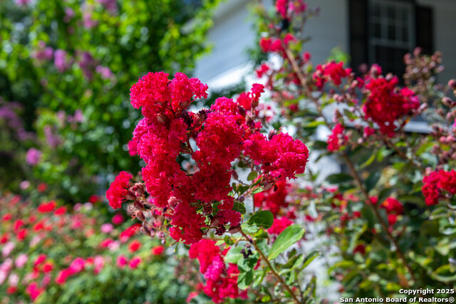 Image 47 of 62 For 1021 Silvertree Blvd