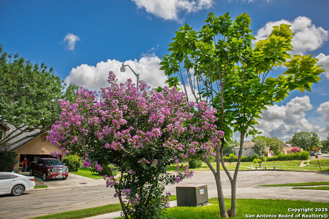 Image 49 of 62 For 1021 Silvertree Blvd