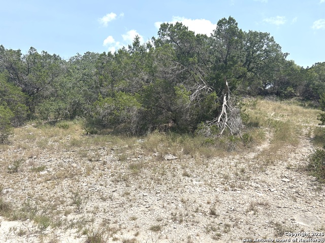 Details for 16 Contour Dr, Spring Branch, TX 78070