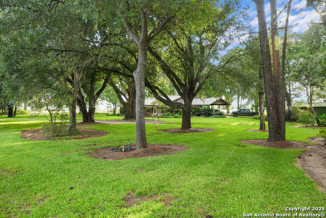 Image 30 of 50 For 4555 Ogden S