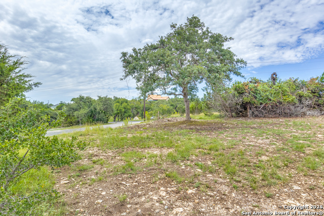 Image 8 of 20 For 105 Albert Horton