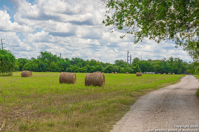 Listing photo id 2 for Address Not Provided