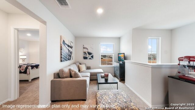 Listing photo id 19 for 123 Western Gull Drive