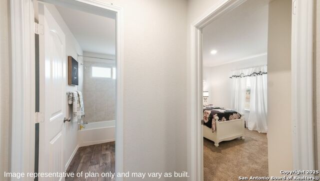 Listing photo id 21 for 123 Western Gull Drive