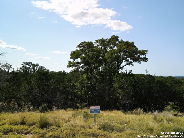 Details for Tract 116 Winans Creek Ranch, Bandera, TX 78003