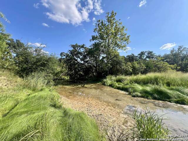 Image 5 of 27 For Tract 116 Winans Creek Ranch