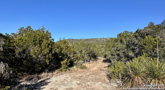 Listing photo id 10 for Lot 96 Black Jack Hollow