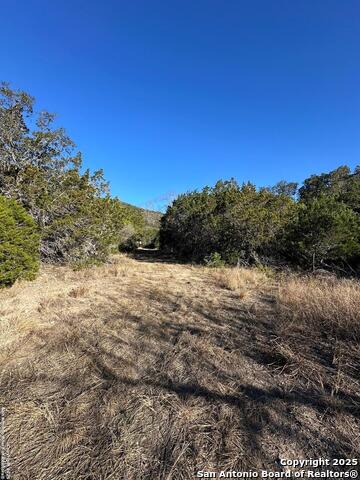 Listing photo id 11 for Lot 96 Black Jack Hollow